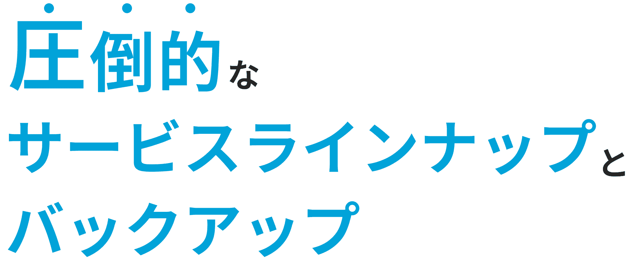 圧倒的なサービスラインナップとバックアップ