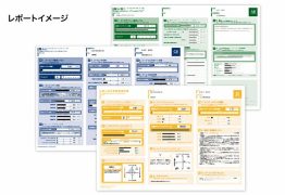 TG-WEB_レポートサンプル