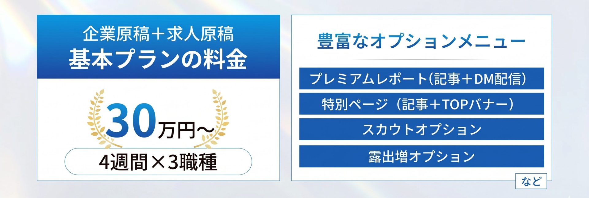 日経転職版の料金の概要
基本参画プランが4週間3職種30万円~、
12週間3職種80万円~